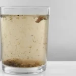 sonhar com água suja
