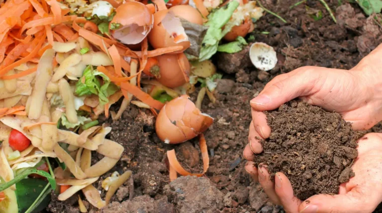 o que é compostagem